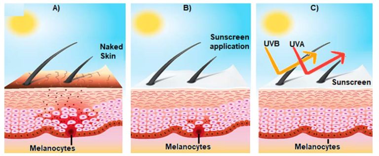 Sun Shield