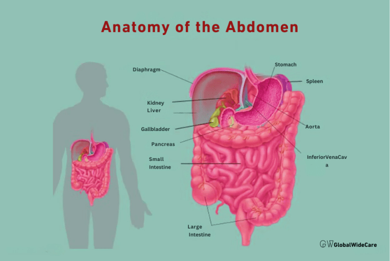 Abdominal Pain