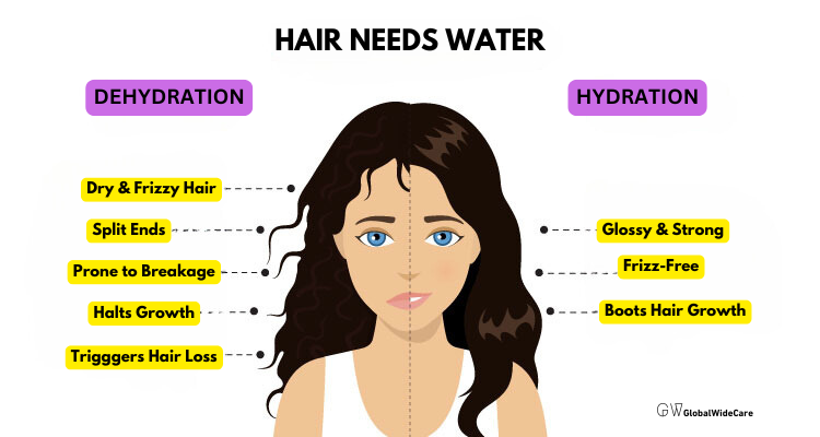 Hydrated vs. Dry Hair